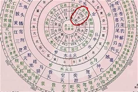 八字 命主 意思